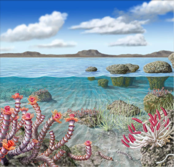 Ecosistema marino a finales del Ediacárico