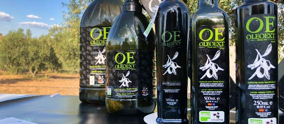 Oleoext, el sabor tradicional del aceite de oliva virgen extra monovarietal